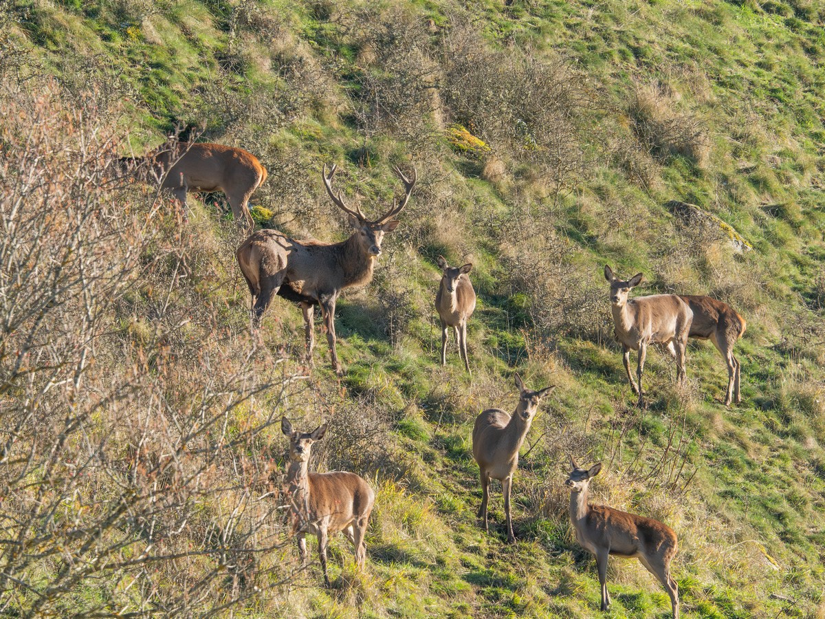 18112025-18 11 25 (4).jpg